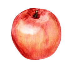 red apple
