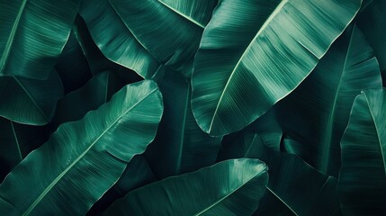 Obraz premium Lush Green Leaves Background for Nature Aesthetic