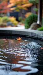 Fototapeta premium Tranquil outdoor scene with gentle stream and vibrant autumn leaves, perfect for meditation