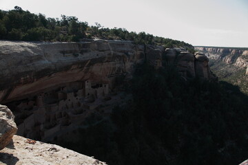 View of Ancient Pueblo Cliff Dwelling Cliff Palace in Mesa Verde National Park of Colorado, USA