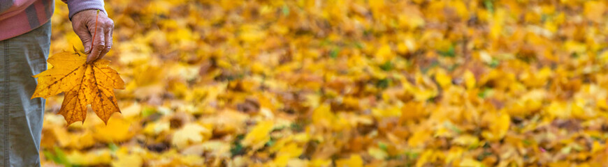 Senior woman in autumn park. Selective focus.