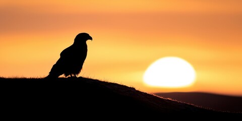 Fototapeta premium Silhouette of a bird against a vibrant sunset backdrop, showcasing nature's beauty and tranquility.