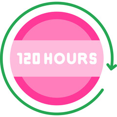 120 Hours Return Icon