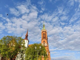 Cathedral Basilica of the Assumption of the Blessed Virgin Mary in Bialystok against backdrop of trees and cloudy sky