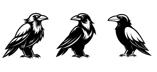 Raven and crow silhouette vector set design
