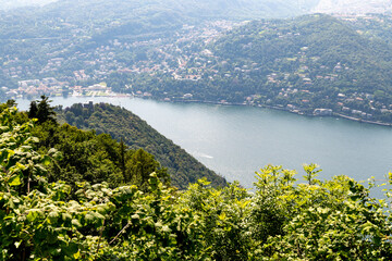 Panoramic View of Lake Como with Mountains and Lush Vegetation