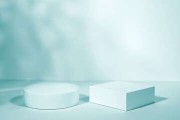 Background for product presentation with shadows and light. Empty round podium. Mockup