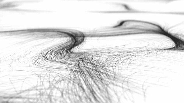 abstract pencil drawing animation, non figurative animated art, 4k motion, lines forming a flowfield