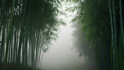 Obraz premium Bamboo forest shrouded in morning mist, creating a mystical and serene atmosphere with soft, diffused light.