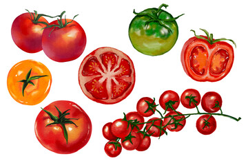 set of tomato tomatoes isolated hand drawn on transparent background red cherry tomatoes 