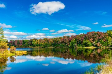 Autumn landscape with vibrant foliage and lake reflection.