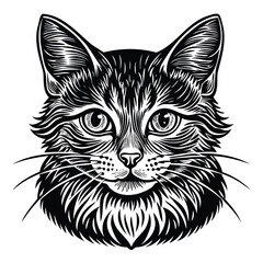 Black and White Cat Illustration