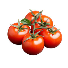 Vine of fresh red tomatoes on transparent background