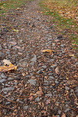 Gravel road, landscape, close-up