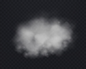 Realistic light white smoke or haze on a transparent background. Magic fog, vapor. Vector illustration.