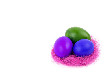 easter eggs in a nest on white background