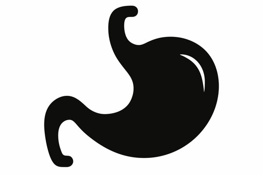 recommend clip art: Stomach icon vector, stomach human internal organ digestive system anatomy, stomach silhouette
                    