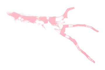 Fototapeta premium Pink splash stains on transparent background