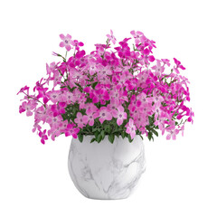 Fototapeta premium Pink flower bouquet, white isolate background