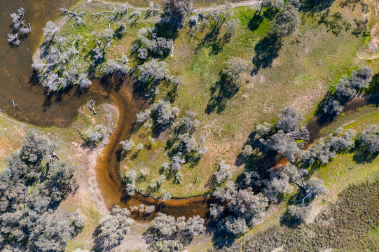 the sinuous curve of a creek flowing into a lake seen from above