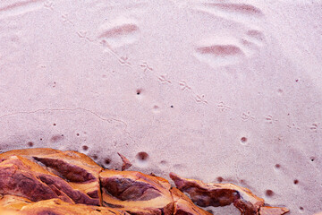 Top view shot of white sand with little crab holes and bird footprints