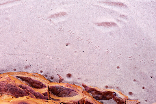 Top view shot of white sand with little crab holes and bird footprints