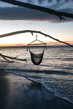 Hammock hanging from a tree branch on a beach at sunset