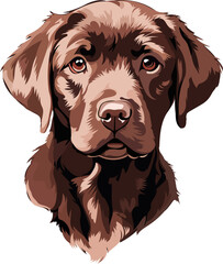 Portrait of a chocolate Labrador.eps