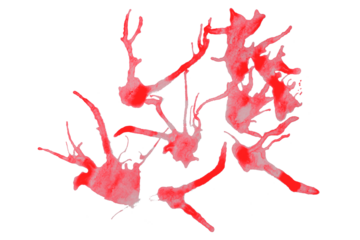 Red splash stains on transparent background