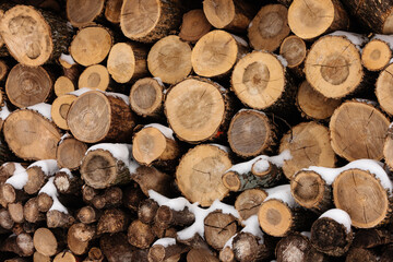 Wood pile in winter