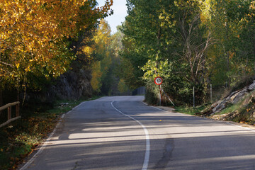 Carretera en el bosque con colores de otoño, Alcoy, España