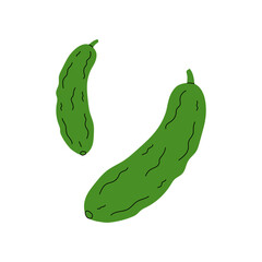 Two green cucumbers resting side by side on a plain background during bright daylight