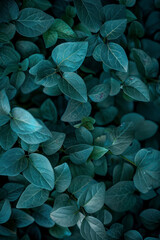 Vertical Green leaves background. Green leaves color tone dark in the morning.