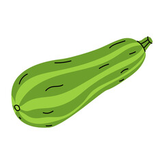 Fresh, vibrant green zucchini with a smooth surface and subtle stripes lying on a white background