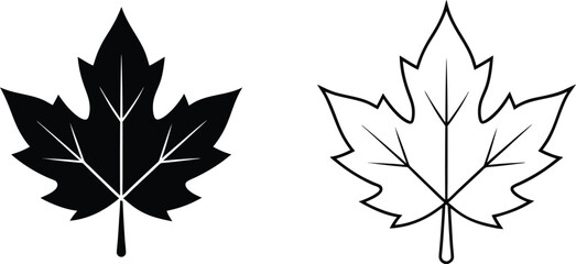 Black And White Maple Leaf Design Illustration