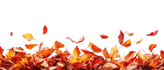 Pile of autumn leaves isolated PNG
