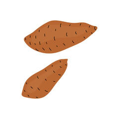 Illustration of two sweet potatoes with distinct shapes on a plain background