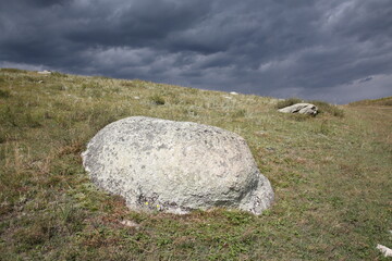 Stone in the grass against a gray sky, horizontal position