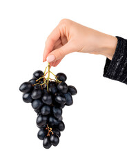 hand holding a bunch of black grapes