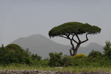 vesuvio