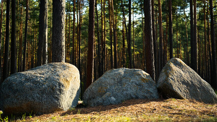 Granite stones lie on a forest lawn.