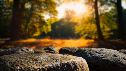 Fototapeta premium Granite stones lie on a lawn in a green forest.