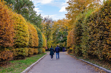 Obraz premium Autumn alley in the park. Kyiv. Ukraine.