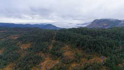 Aerial View of Lush Green Forest and Ocean