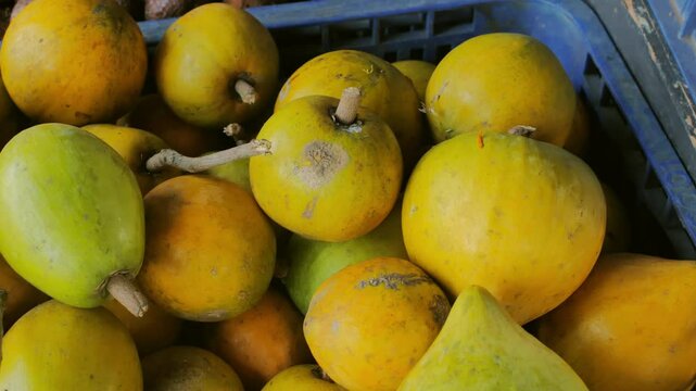 Stacked Sweet and Soft Canistel Pouteria campechiana Fruit in a Blue Basket of a Tropical Fruit Vendor, Showcasing Local Delicacies.