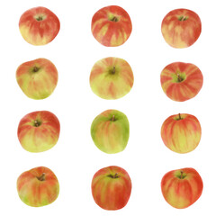 リンゴいろいろ