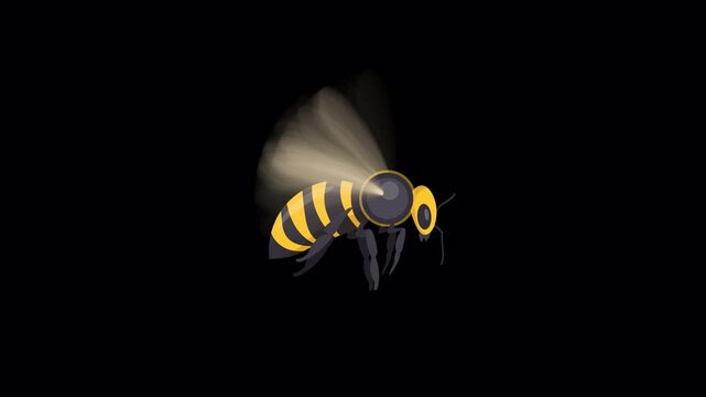 Side view bee flying animation with transparent background