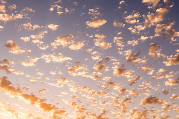 sky at sunset with many clouds texture background