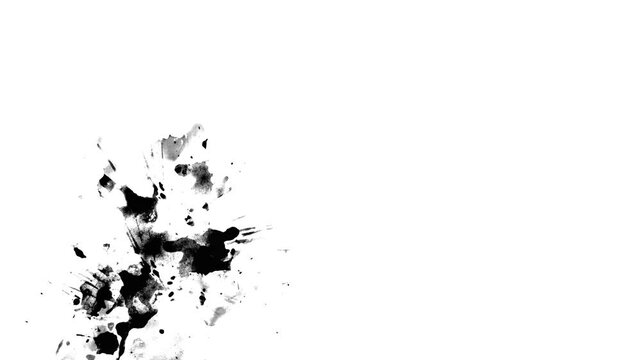 splash on white background video