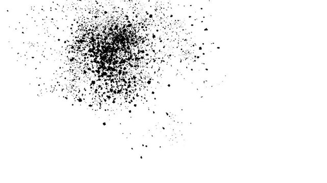Title: splash on white background video

